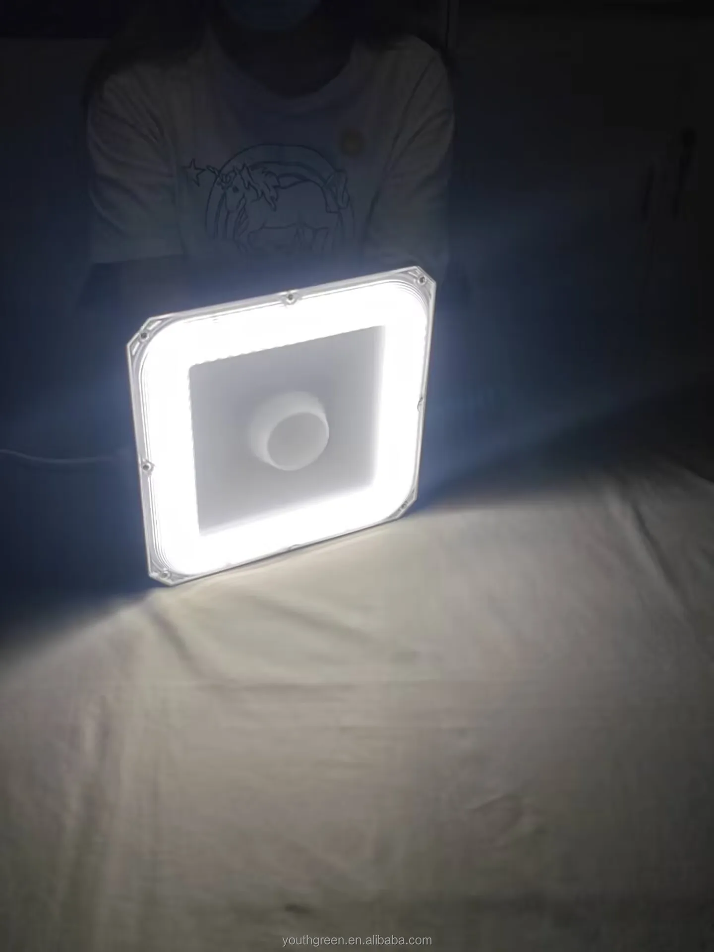 Industrial Lighting Ip65 Waterproof 30W 50W 80W 100W Canopy Lights for Gas Station Garage Warehouse Shop Hotel