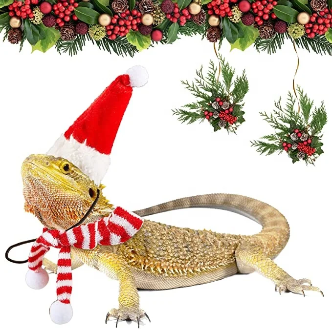 Pet Cat Dog Christmas Hat with Scarf pet Santa Hat Scarf Set Holiday Party Cute Costumes for Small Dogs Cats