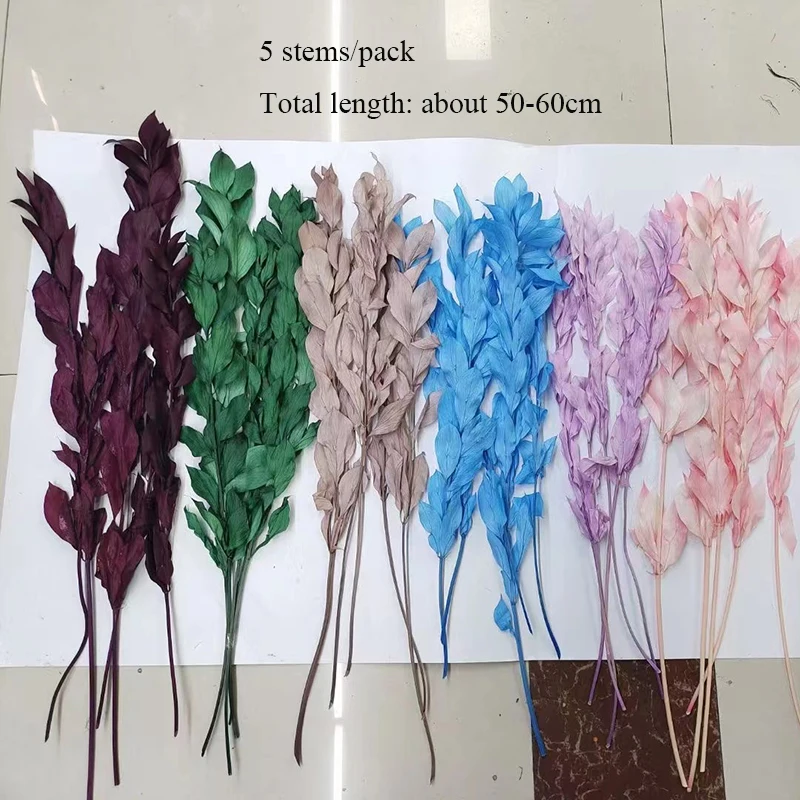 Ruscus Leaves Dried Flower Arrangements Decoration Natural Preserved Flowers Bleached Orange Leaves Italian Israel Ruscus Leaves