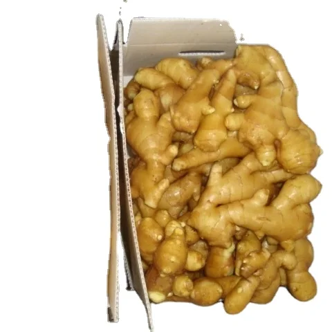 Yellow Ginger Fresh Ginger Fast Delivery For Cooking Manufacturer Vegetable Supply