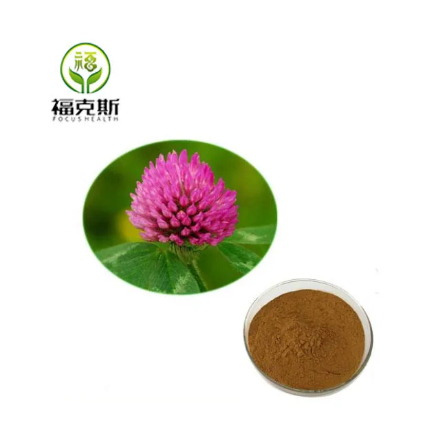 FocusHerb Isoflavones 40% Red Clover Flower Extract Powder