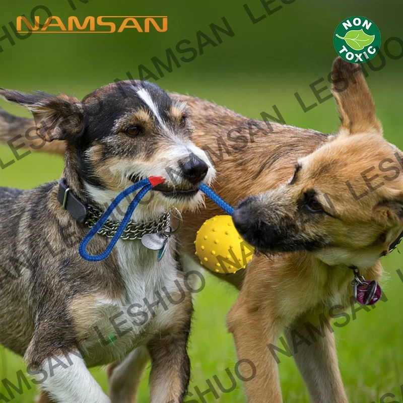 Pet Toys Ball  Interactive Rubber Ball Dog Toy for Training  Reward Toy Dog Chew Ball Tooth Clean Rope