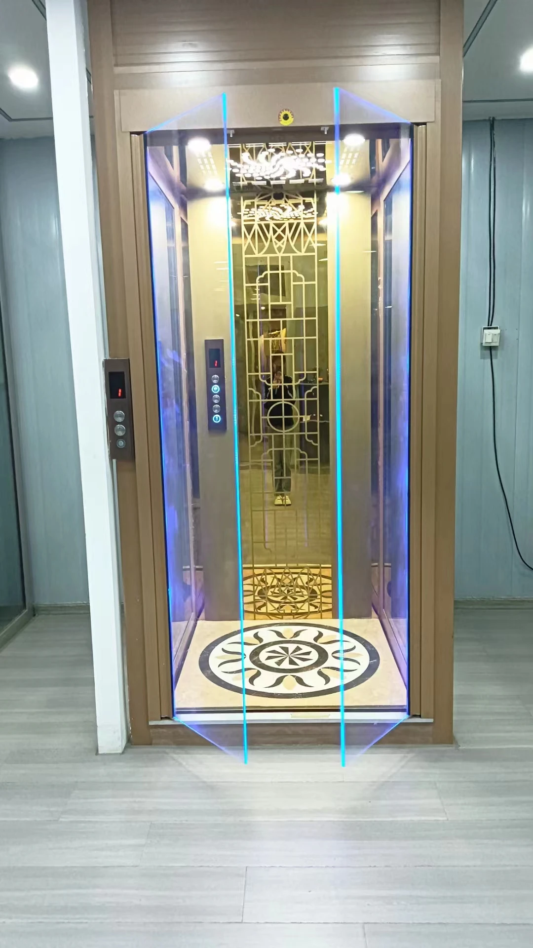 450KG 1600KG Factory wholesale Small Home Elevator Lift Best Residential Elevator