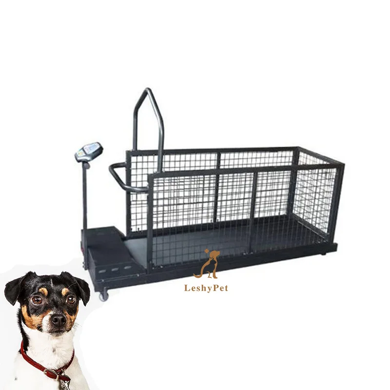 Беговая дорожка для собак