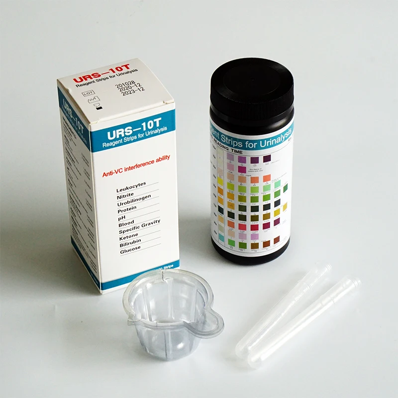 Protein Urine 10 Parameters Diagnostics Strips