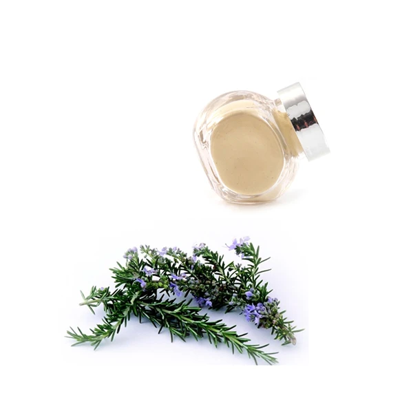 Manufacturer Supply Rosemary Extract  Price Carnosic Acid Organic Rosemary