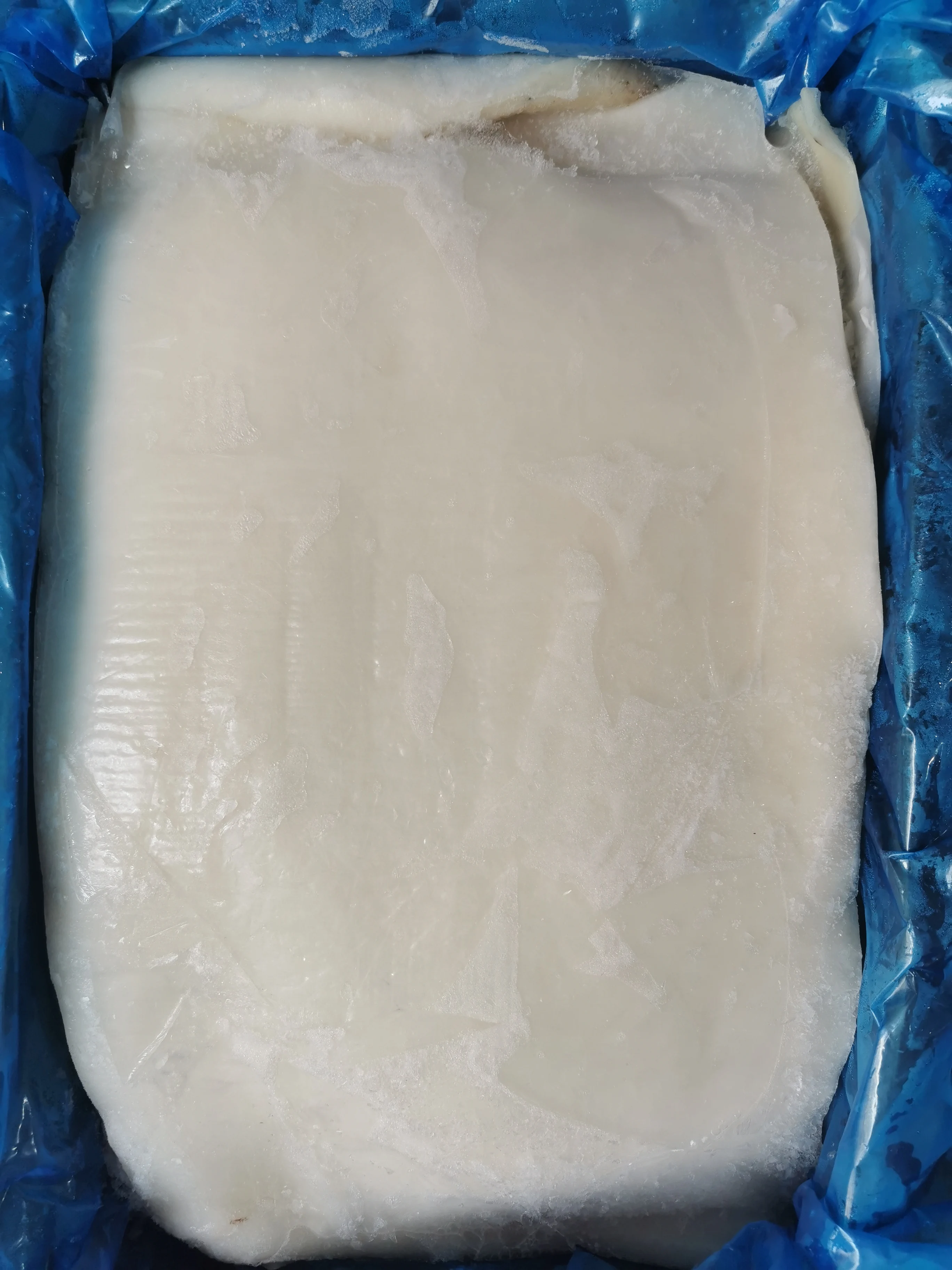 Frozen Squid Fillet Skinless
