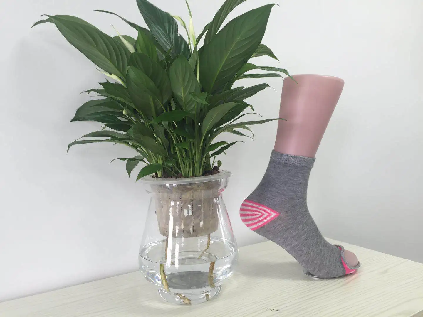 6F Plain  socks knitting machine