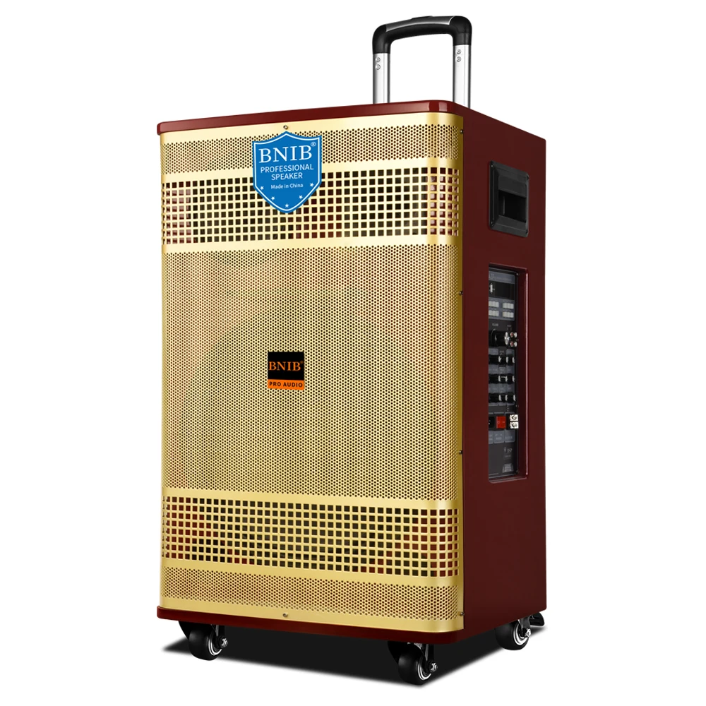 Pro Portable Big Size Speaker Wireless Trolley 15 INCH Loudspeaker Outdoor Stage Big Power 1000W Boombox Blue-tooth TF card