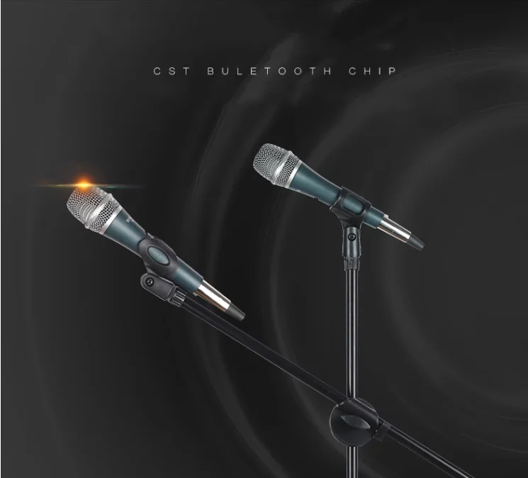 DOUBLE MICROPHONE STAND STABLE DELUX