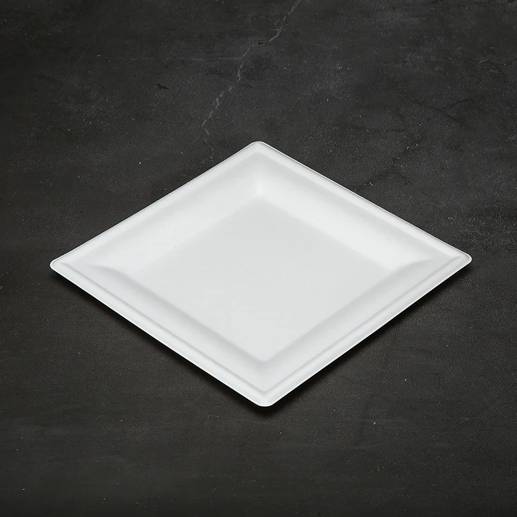 Quality Assurance Shandong Origin Food Container Disposable Cheap Square Plates