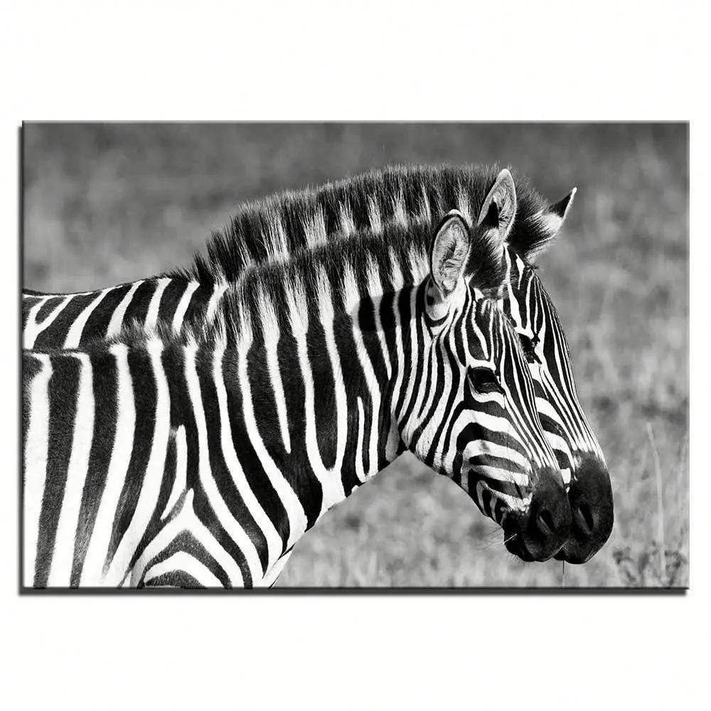 Modern Canvas Wall Art for Home Decoration African Pinto Canvas Art for  Pictures Print on Canvas