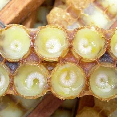  Высокое качество стандарт ЕС fesh royal jelly 1.4%