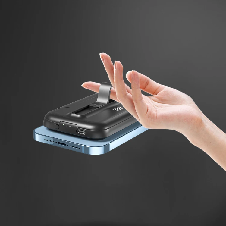 Portable rechargeable battery 5v 2a power bank 1000 battery 20000 mobile powerbank