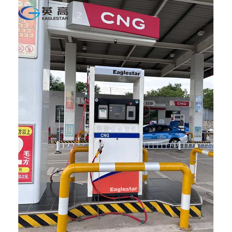 Cng Filling Machine Compressed Natural Gas Dispenser Cng Dispenser For Gas Station