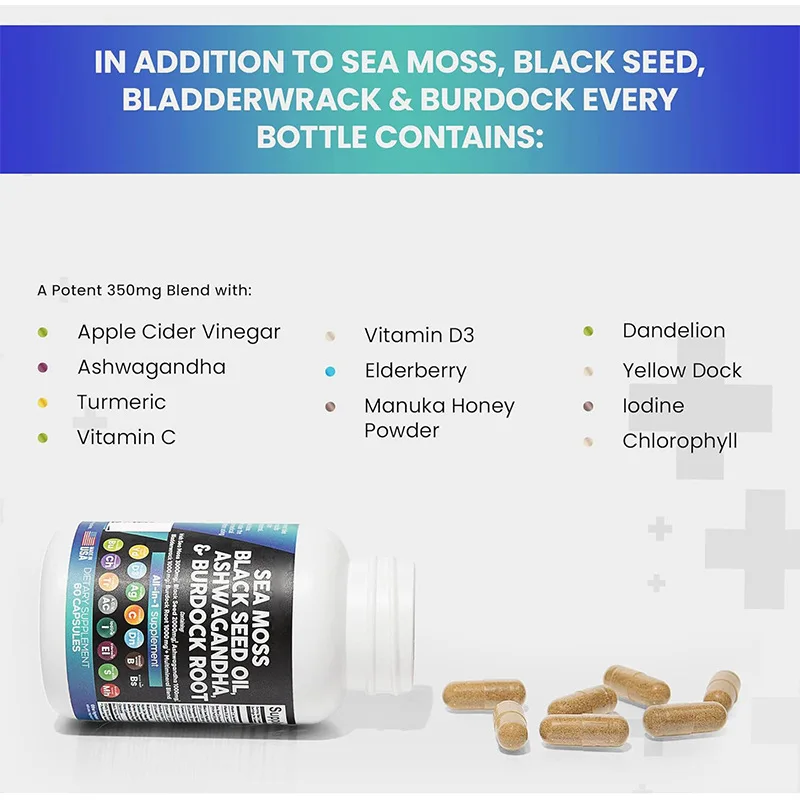 Food Grade Vegetarian Seaweed Capsule Sea Moss Herbal Extract in Powder Form Wild Cultivated Packed in Plastic Bottle