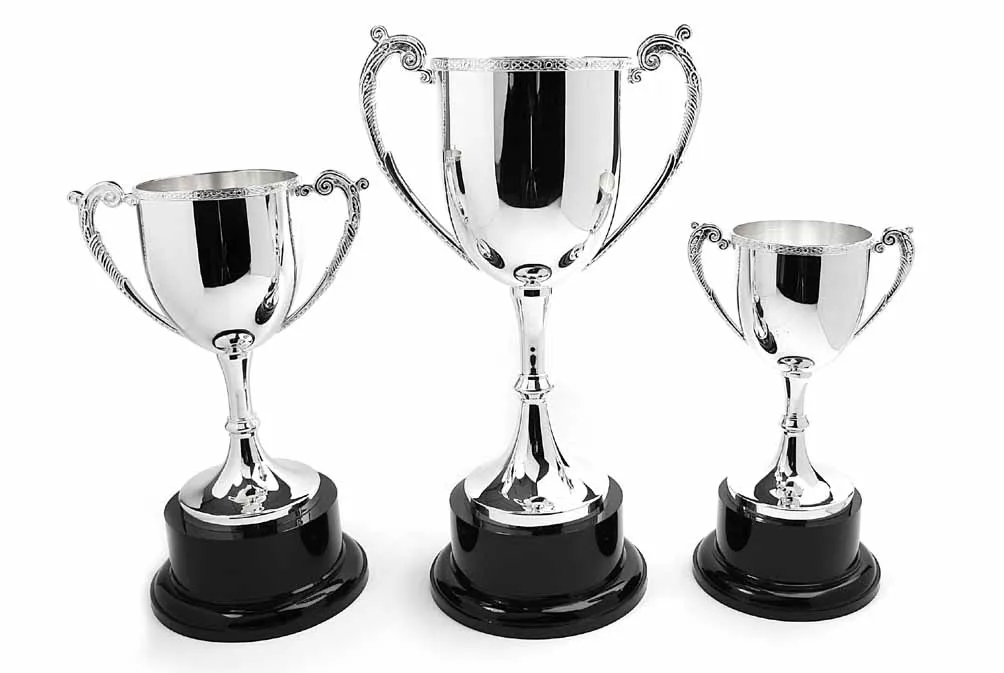 Silver Metal Trophy Cup Black Plastic Base Trophy Cup Award