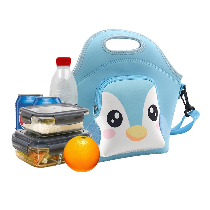 Insulated Travel Cooler Bag Lunch Picnic Tote Bag for Kids and Women