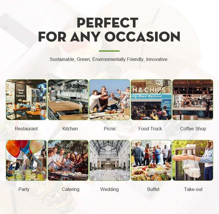 BIOSANO Custom Sugar Cane Fibers 10 Inches 3 Compartment Parties Wedding Special Events  Bagasse Food Container Round Trays