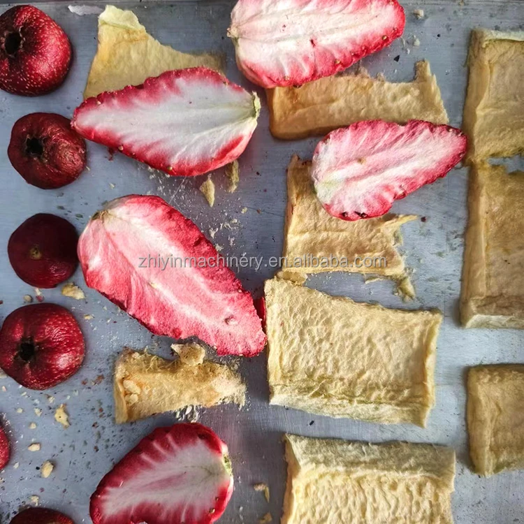 Multifunctional Small Fruit Freezing Machine Household Laboratory Vacuum Lyophilization Machine