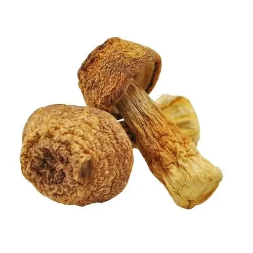 100% high quality BIO food grade pure 30% powder bisporus mushroom agaricus blazei extract for sale