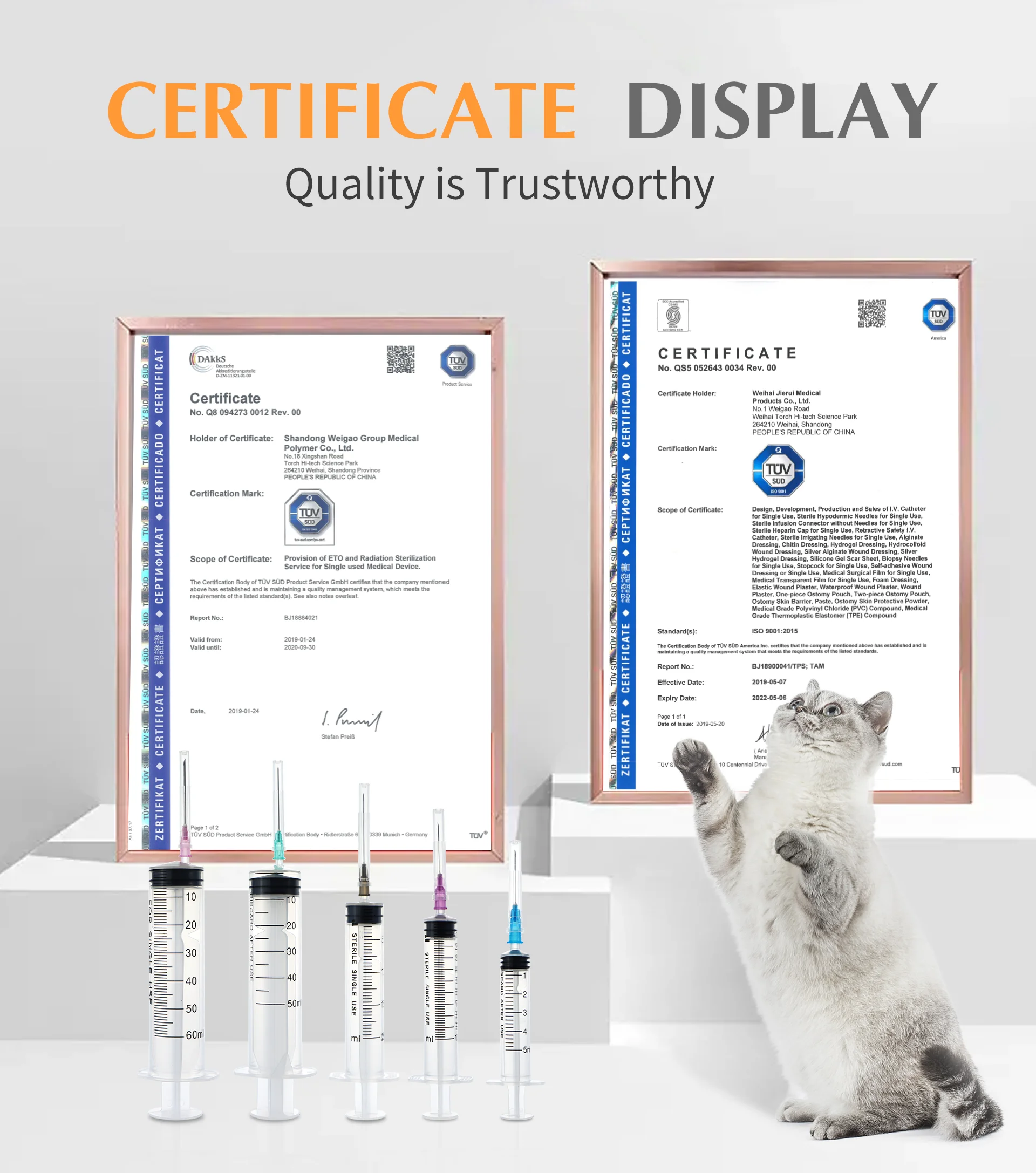 CE ISO Approved Sterile Luer Lock 60ml 50ml 20ml 10ml 5ml 3ml 1ml Medical Disposable Syringe With Needle