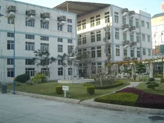 
100% natural organic ginger root powder turmeric powder pure dried ginger root extract powder 