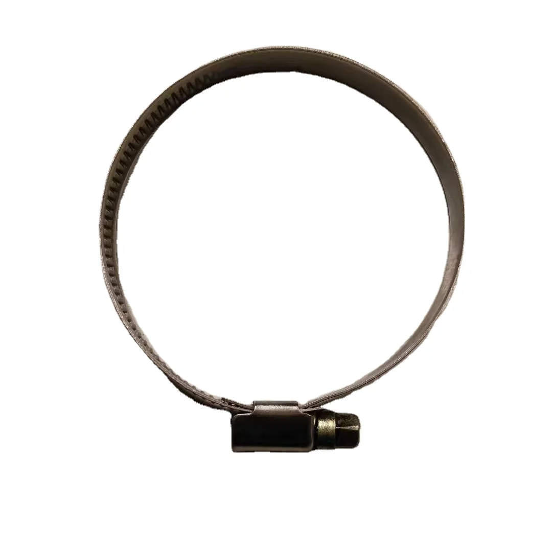 Heavy Duty Pipe Fitting American Type Hose Clamp Hot hose clip