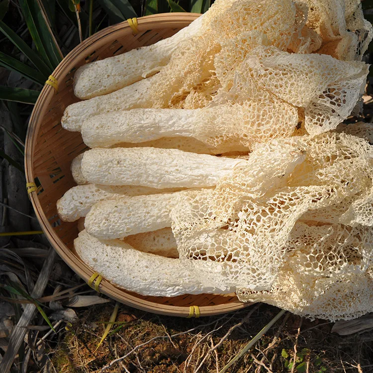 Сушеные грибы Dictyophora Indusiata дикий бамбуковый гриб для кухонных