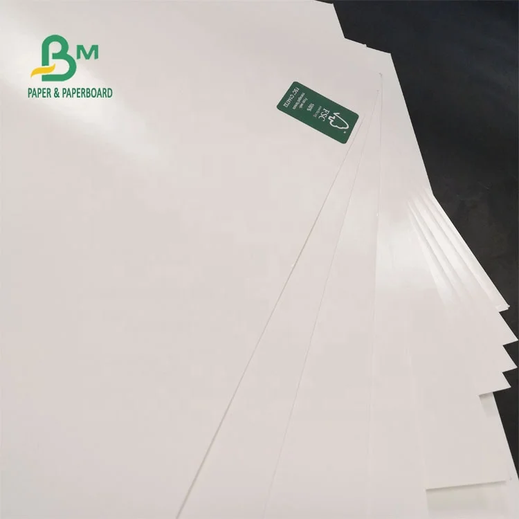 
FSC Certified 300gsm + 15g PE Coated Ivory Board For Lunch Box 70 * 100cm <span style=