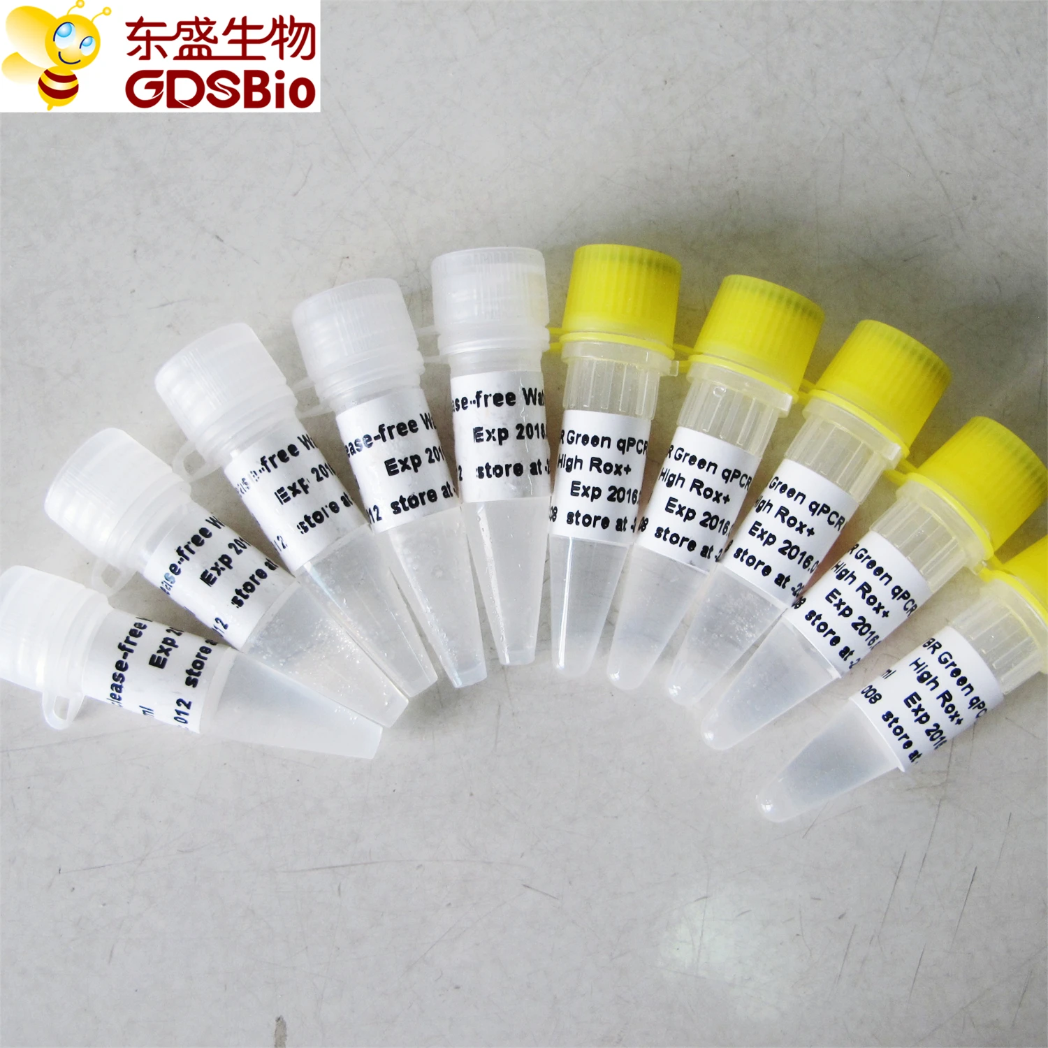 SYBR Green qPCR Mix (High Rox+), chemistry dye real time pcr, P2091b 1ml
