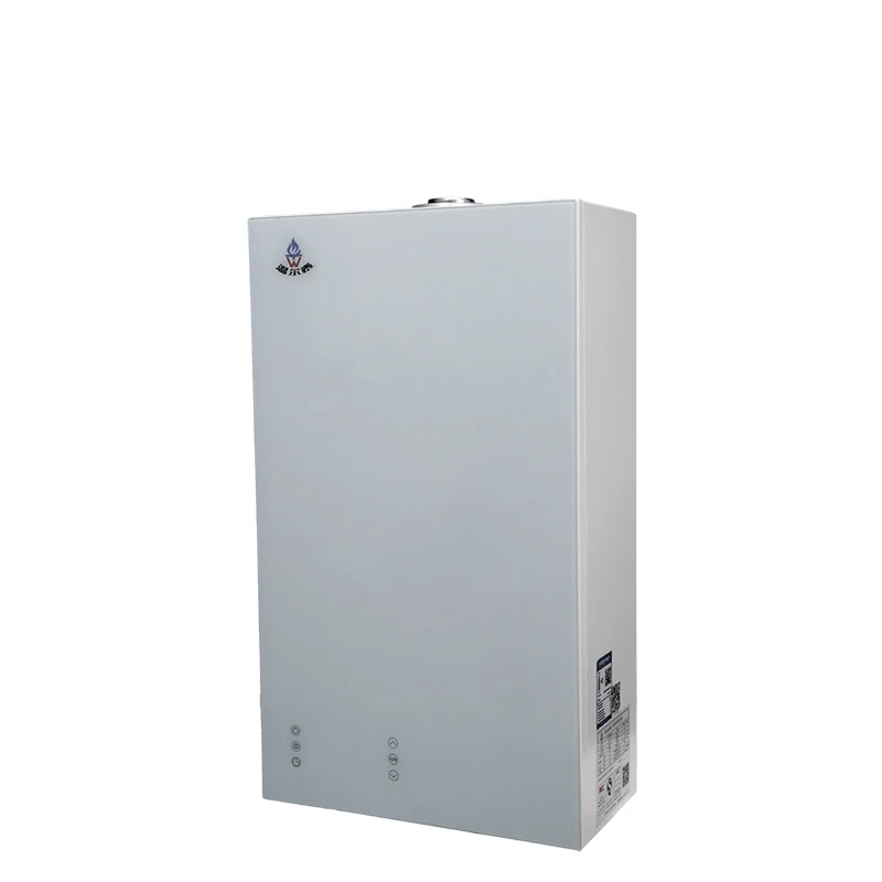 Wholesale Dual Function Low Nitrogen Condensing Wall Mounted Gas Boiler For Home Heating Use