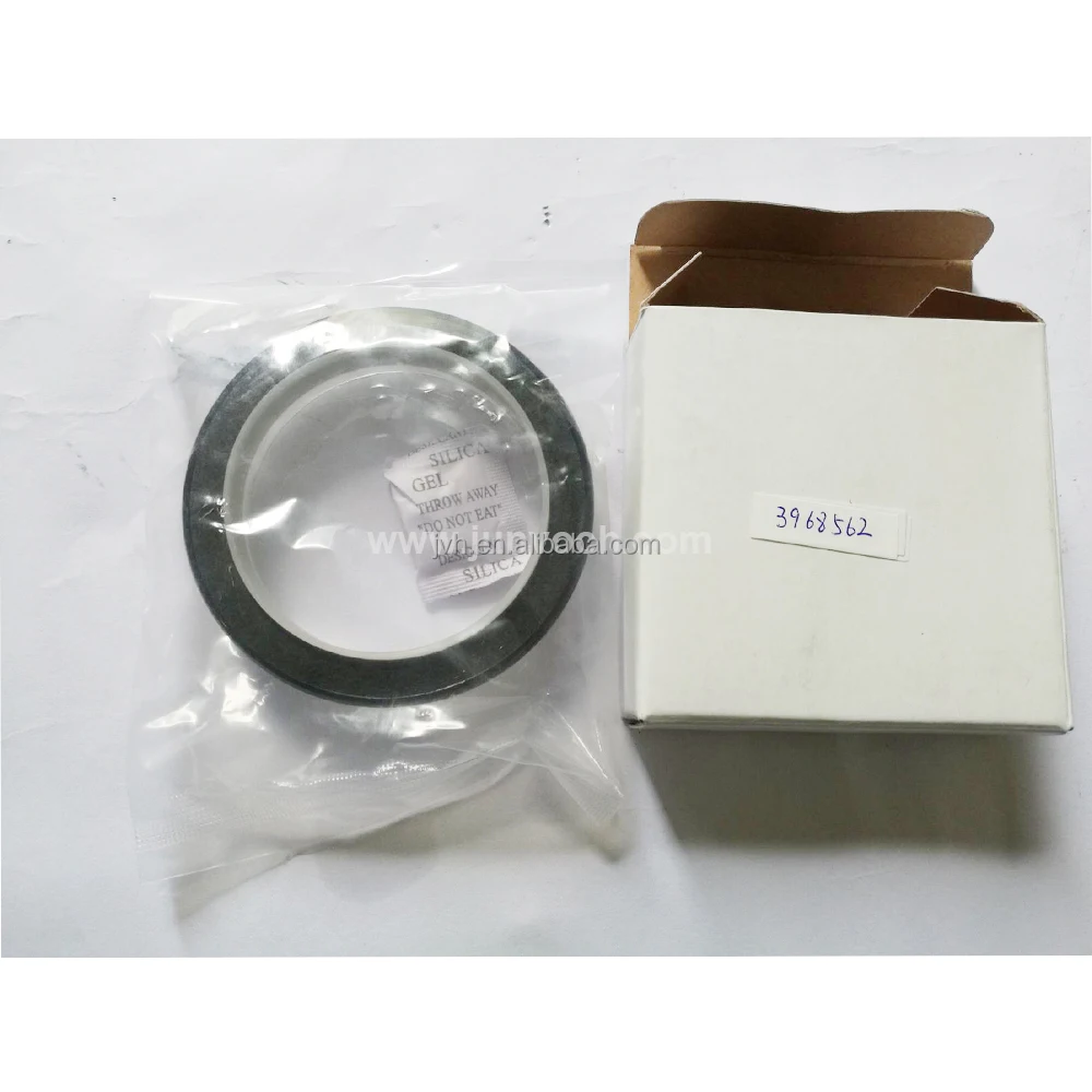 Diesel Engine Truck Parts 6CT 6L QSL Crankshaft Front Oil Seal 3968562 for Cummins