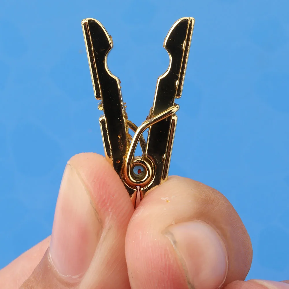 Promotion Memo Clip Small Plastic Photo Clip For Home Decoration