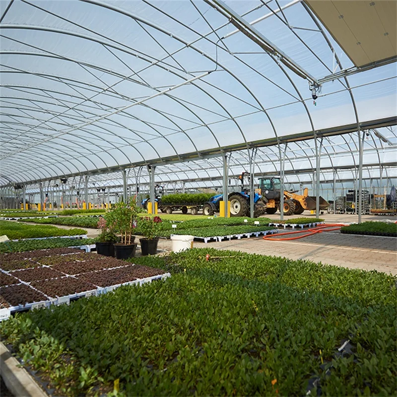 Vertical Farming  Automatic Hydroponics Plastic Film Multi-span Greenhouse With Indoor Hydroponics System