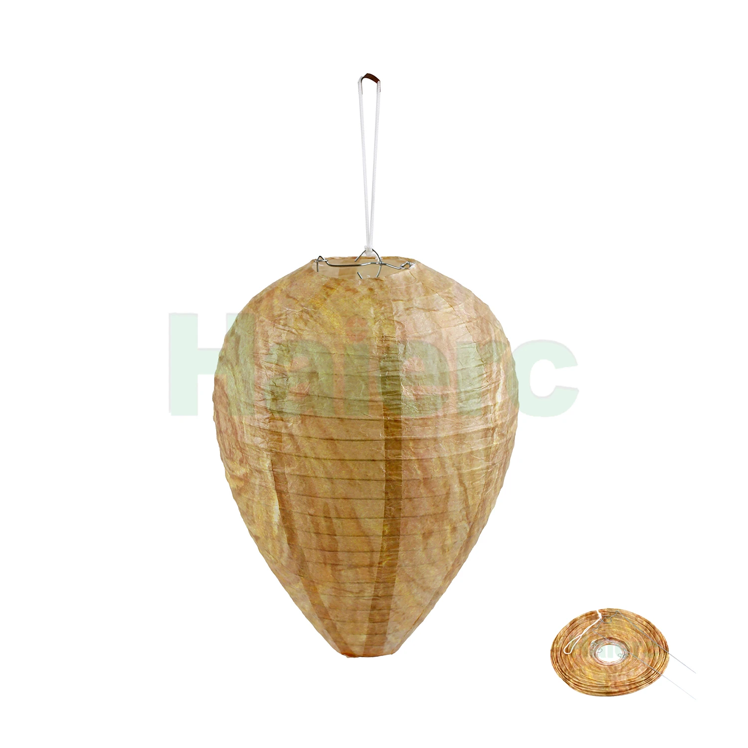 Haierc Wholesale Price Pest Control Products Wasp Trap Bee Trap