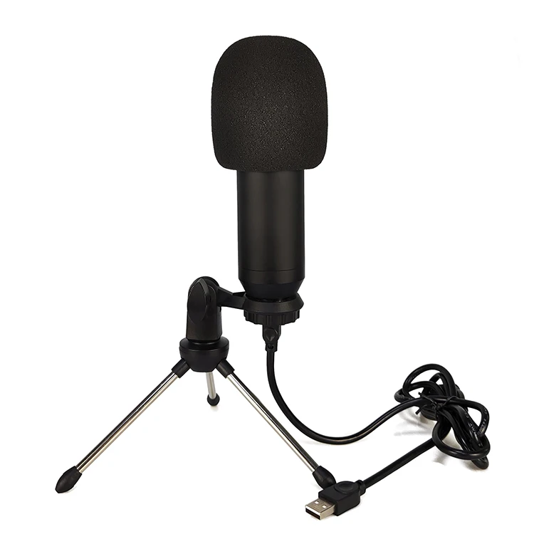 Bm 700 Mic Home Computer Condenser Gaming Pc Mini USB MicrophonUsb Mute Microphone with ECHO and VOL Gain
