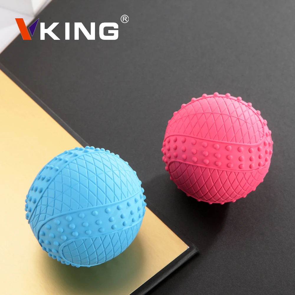  Vking Amazon Pets Bite Play interactive Training Squeaky dog