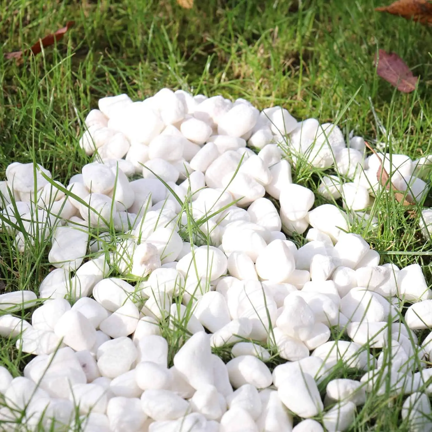 Wholesale Landscape Gravels Pebble Stone for Garden Decoration Gravels Rocks