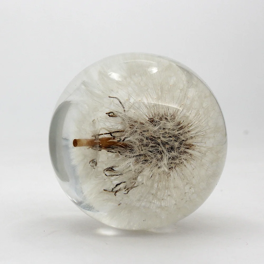 Sphere Ball Dandelion Paperweight dia 8.0cm with Flat Bottom