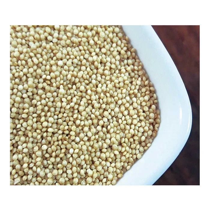 green amaranth seed strengthens the immune system and supports the recovery process amaranth seed