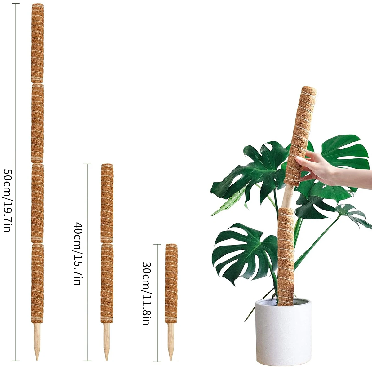 80 cm popular plant climbing pole Coconut palm rod Moss rod supports climbing plants to grow upward