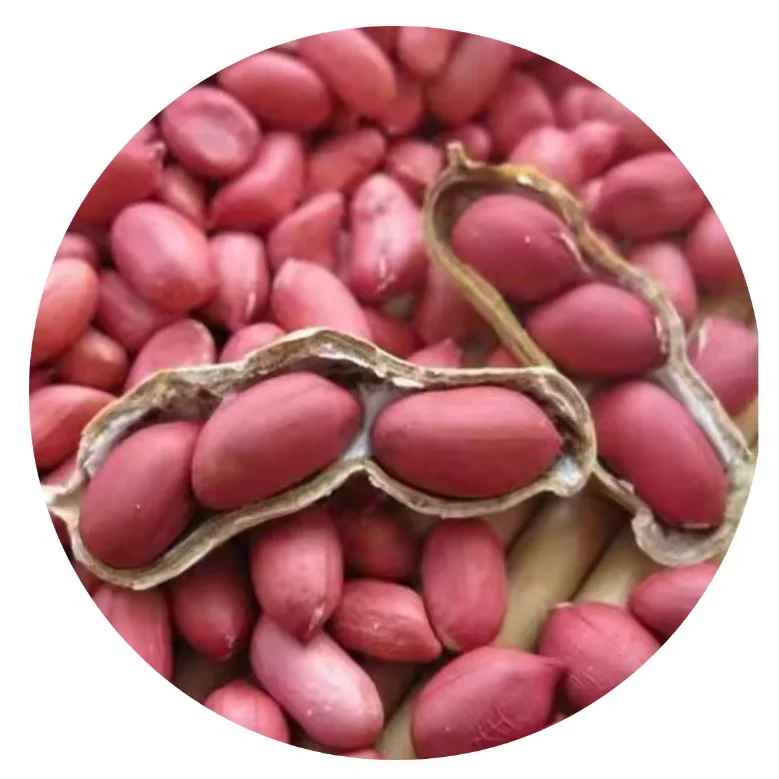 100% Pure Natural Quality Dried Organic Red Skin Peanuts Raw Peanut for Food