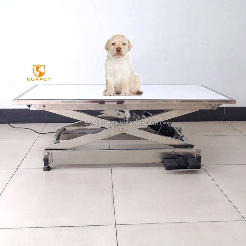 EURPET High Quality Veterinary 304 Stainless Steel Flat Panel Electric Lifting Pet Treatment Table