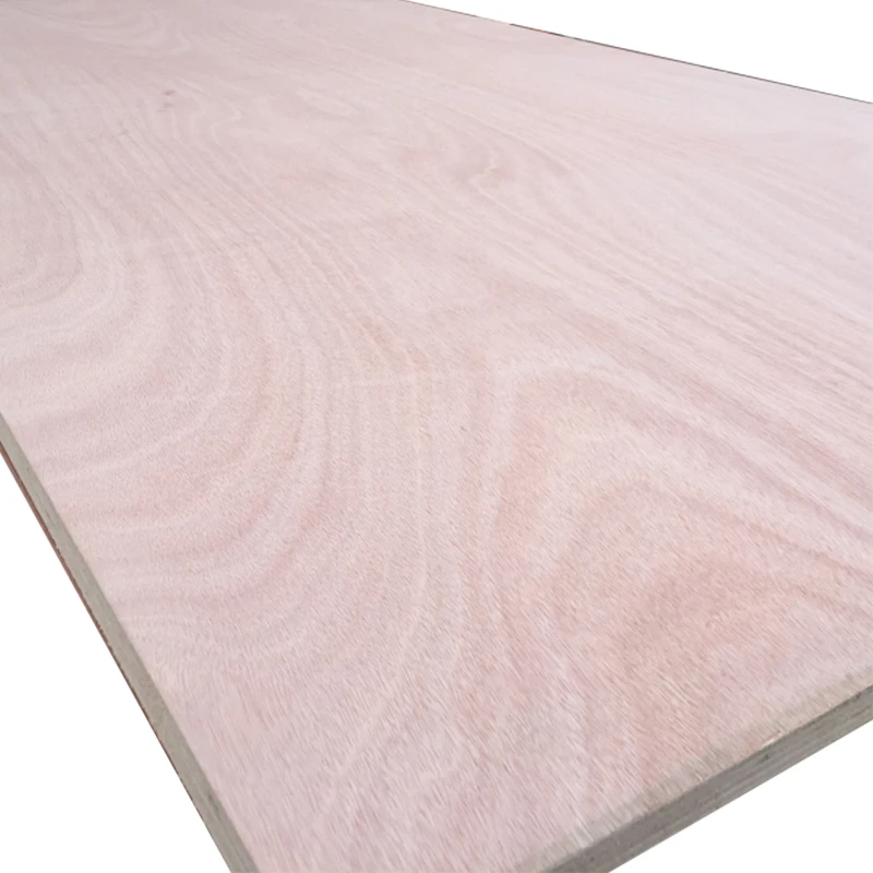 3mm 6mm 9mm 12mm 15mm 18mm okoume/bintangor/pine/birch  plywood with cheap price