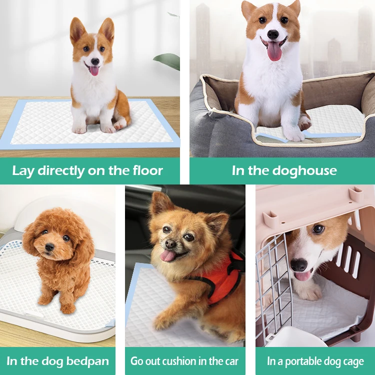 Wholesale disposable puppy under pad high quality pet pads super absorbent dog training pad