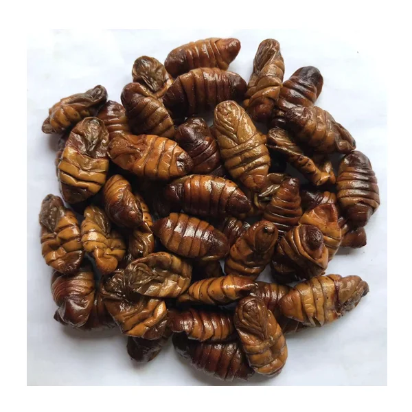 Silkworm Pupae Dry Maggot Insect Protein Edible Bugs for Fish Bird Poultry Pet
