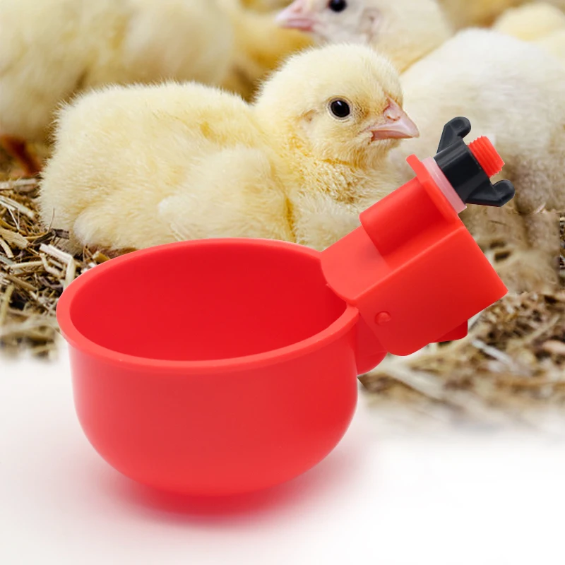Poultry Automatic Plastic 10L Drinker and Feeder Barrel Chicken Water  Bucket