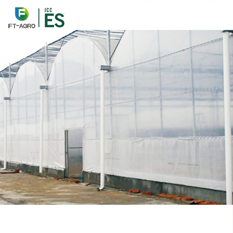 Easily Installed Agricultural/Commercial Greenhouse with Completely Hydroponics Vertical NFT Growing system