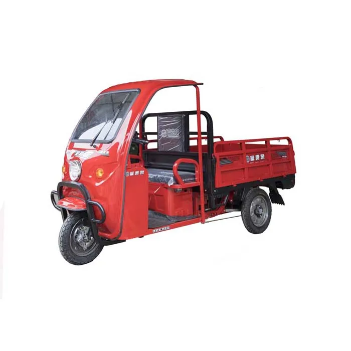 Electric Type Family Truck Cabin Cargo Tricycle 3 Wheel Adults